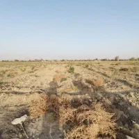 یه قطعه زمین حاصلخیز به متراژ ۵۰۰ متر مربع|فروش زمین و ملک کلنگی|تنکمان, |دیوار