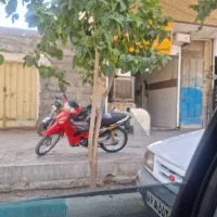 فروش تجاری