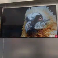 تلویزیون 55 اینچ دوو جشنواره یلدایی(طالقانی اراک)|تلویزیون و پروژکتور|اراک, |دیوار