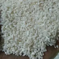 برنج نیم دانه هاشمی|خوردنی و آشامیدنی|گرگان, |دیوار