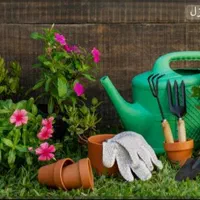خدمات باغبانی و فضای سبز وهرس کردن