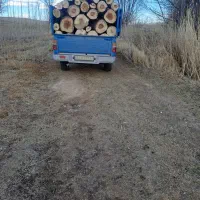 خرید فروش انواع چوب چنار بید میوه