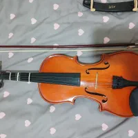 ساز موسیقی|ویولن|اراک, |دیوار