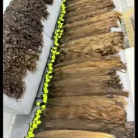 فروش ومرکز اصلی خریداری مو بانوان