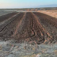 شخم زدن زمین زعفران با دستگاه ۷/۵سبک با تیغه مخصوص|خدمات باغبانی و درختکاری|نیشابور, فضل|دیوار