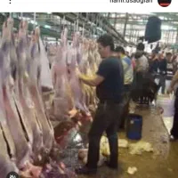 به یک همکار جوان جهت کار ونظافت برای فروشگاه