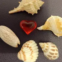 خدمات تخصصی درمانی ماساژ