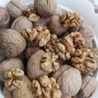 فروش گردو کلی