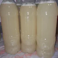 ابغوره ۱۰ لیتری تازه امسال