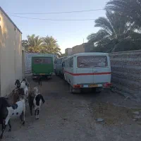 2عددمینی بوس فروشی هر عدد شیشصد میلیون|خودرو سنگین|سراوان, |دیوار