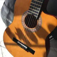 گیتار maxineبه همراه کیف|گیتار، بیس، امپلیفایر|قزوین, |دیوار