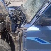 مزدا تصادفی