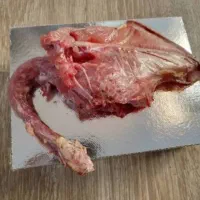 توزیع عمده اسکلت مرغ