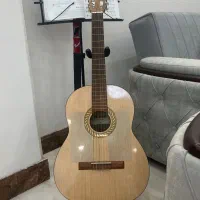 گیتار کلاسیک سلاریوس