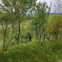 راهنمایی برای راه اندازی میوه فروشی