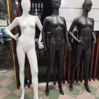 فروش مانکن و رگال