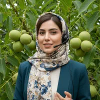 20نهال اشانتیون واقعی با خرید نهال گردو روی فاکتور