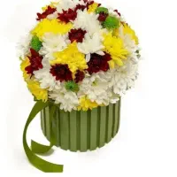 روز مادر توزیع گل نرگس و رز مناسب|گل و گیاه طبیعی|بیرجند, |دیوار