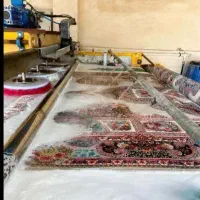 قالیشویی طلایی قالی شویی شاندیز مشهد