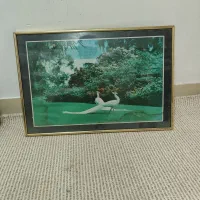 فروش قاب عکس