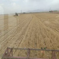 سهند|خودرو سنگین|کبودرآهنگ, |دیوار