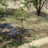 فروش دو قطعه زمین سانیج