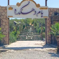 نیازمند نیرو کار