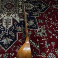 سه تار|سازهای سنتی|تهران, باغ خزانه|دیوار