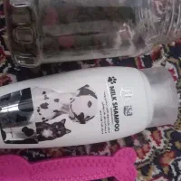 بازی سگ و شامو و غذای خارجی سگ