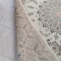 ۳ تا فرش ۶ متری سالم وشسته شده توسط قالی شویی|فرش|رشت, پستک|دیوار