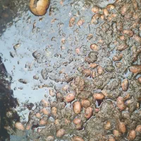 به یک آقا یا خانم جهت کار در غذای خانگی نیازمندیم|استخدام خدمات فروشگاه و رستوران|چابهار, |دیوار