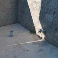 خانه  مسکونی|فروش خانه و ویلا|پارس‌آباد, |دیوار