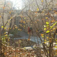 نیروی خانم امور منزل