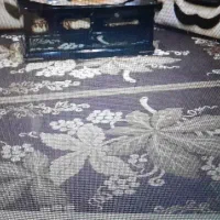 یک جفت فرش کاملا سالم