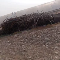 انواع ضایعات گلخانه ای