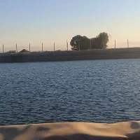 تولید فنس و پایه بتونی و پایه آهنی باغ استخر|خدمات باغبانی و درختکاری|محمدیه-قزوین, |دیوار