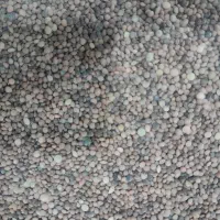 عدس سیاه کارزان
