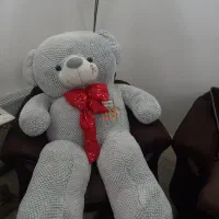 خرس عروسکی|اسباب‌‌بازی|اردبیل, |دیوار