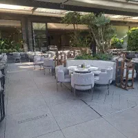 آشپز فرنگی و ایرانی
