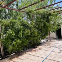 خانه اجاره ای در شهر زیبای دهبکری