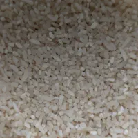 برنج نیمدانه درشت طارم برای مصرف روزانه|خوردنی و آشامیدنی|مشهد, آبکوه|دیوار