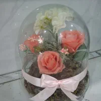 ست کتری و قوری قیمت ۱/۷۰۰میلیون|قوری، کتری، قهوه‌ساز دستی|اسلام‌شهر, شهرک مهدیه|دیوار