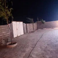 باغچه-و-باغ-سیخ-دارنگون