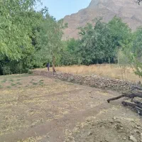 فروش فوری زمین|فروش خانه و ویلا|خضر آباد, |دیوار