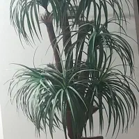 درختچه مصنوعی نخل