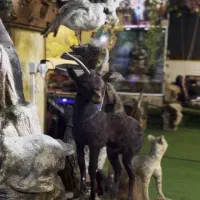 واگذاری قهوخانه شراکت هم قبول میکنم باماشین میزتم|اجارهٔ مغازه و غرفه|قم, آذر (نکویی)|دیوار