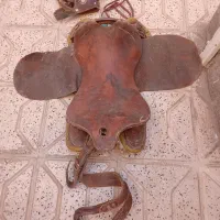 زین اسب|اسب و تجهیزات اسب‌سواری|مشهد, سجادیه|دیوار