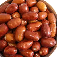 نهال دوساله سنجد