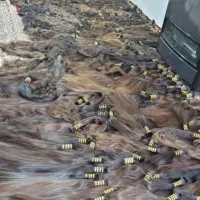 معتبر ترین مرکز فروش و خریدوخرید و فروش موی طبیعی