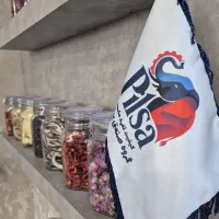 خط شستشو اینورتردار دستگاه خشک کن میوه سبزی پیاز|ماشین‌آلات صنعتی|مشهد, کاظم آباد پنجشنبه|دیوار